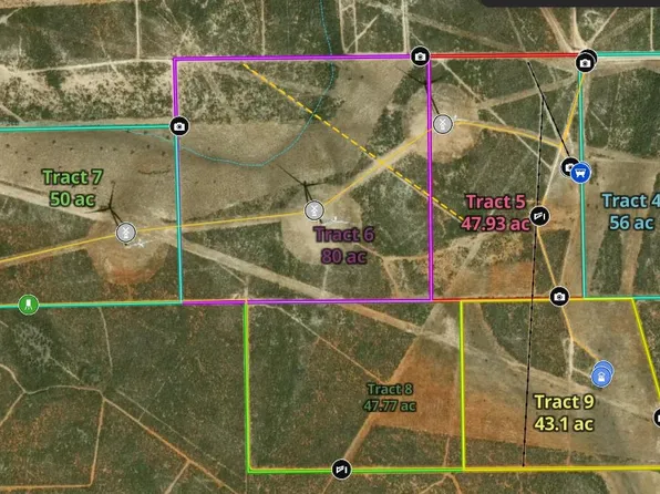 TRACT 8 47.77 San Pablo Ave, Bruni, TX 78344