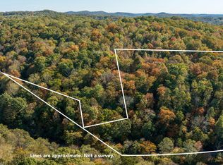 Strong Hollow Ln, Lake City, TN 37769