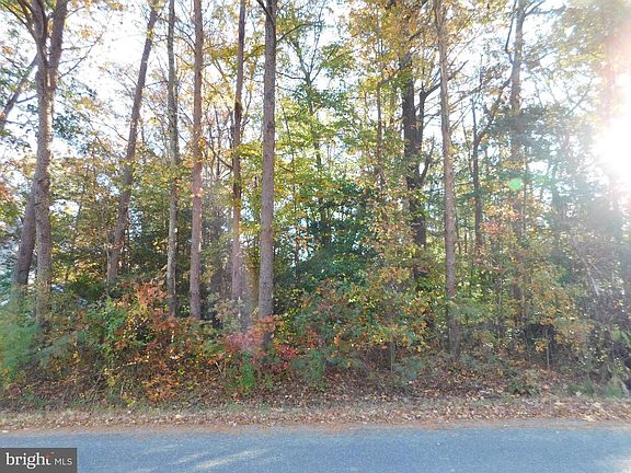 2nd image of Tn 10c 8 1 23 Forest Grove Rd