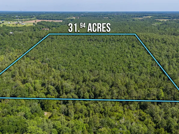 31 Canyon Trl, Baker, FL 32531