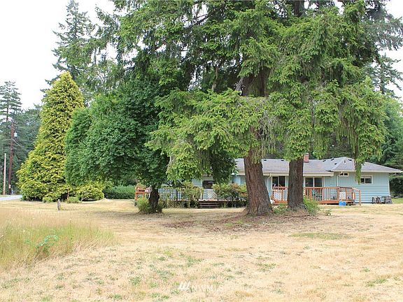 great trees for a hammock or another garden project. Plenty of room for your dreams.