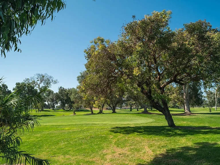 Hit the Links at Mission Bay Golf Course