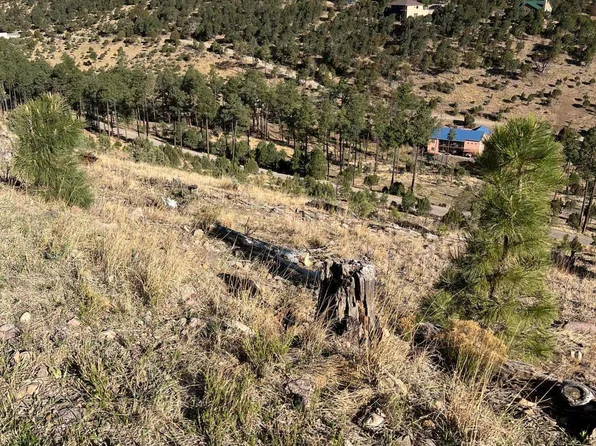 LOT 58 El Camino Dr, Alto, NM 88312