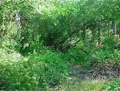1st image of 7006 86th Ct NW