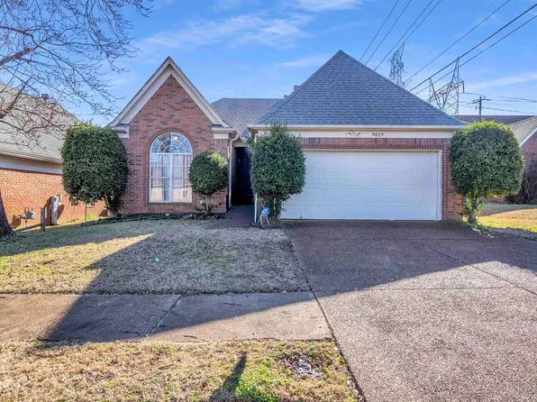 9019 Fulton Ln, Cordova, TN 38016