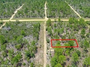 136 Idaho Ave, Hawthorne, FL 32640