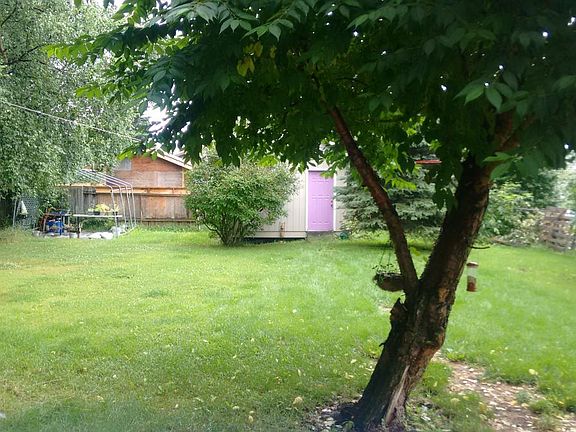 back yard