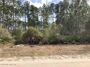 113 Meadow Dr, Georgetown, FL 32139