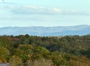 2 Mount Springer Rd, Ellijay, GA 30540