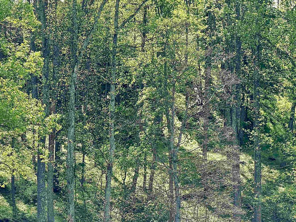 1st image of 99 Crystal Lake Rd