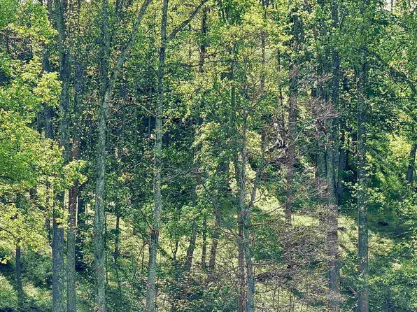 99 Crystal Lake Rd, West Union, WV 26456