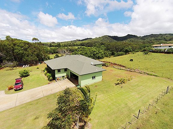 Lots of grazing space 