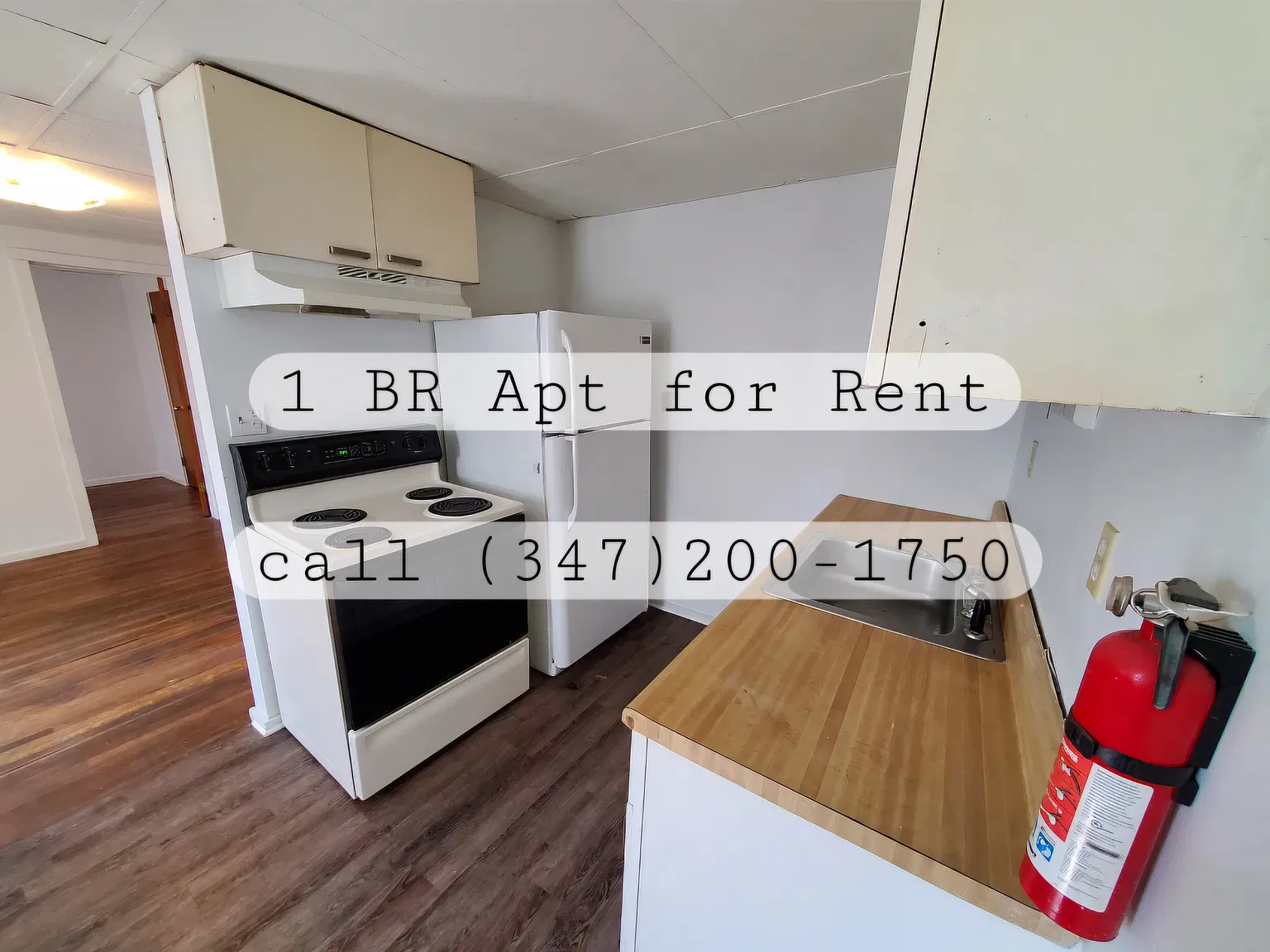 1 bed, $850 — Photo 2