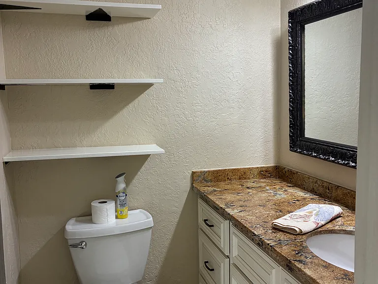 Downstairs bathroom with shower