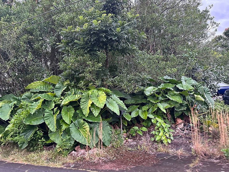 2nd image of 340 Kapualani St