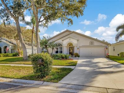 3714 Treeline Dr, Valrico, FL, 33596