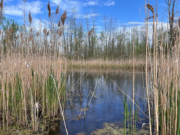 5th image of 200 Burritt Rd