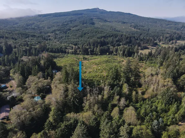 LOT 26 Deer Rd, Tillamook, OR 97141