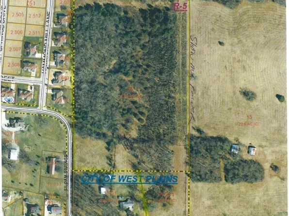 000 Gleghorn Street, West Plains, MO 65775