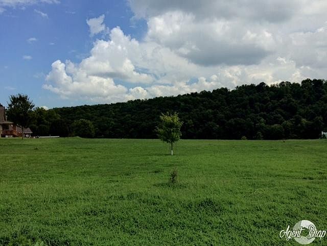 2nd image of 0 County Road 110 Lot 18