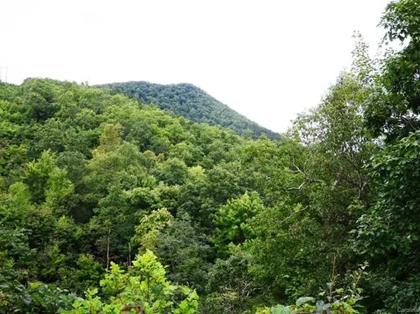 99999 Miller Cove Rd, Black Mountain, NC 28711