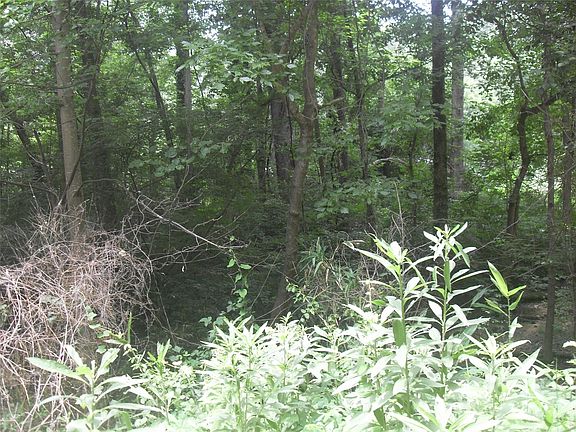 5th image of 11931 Riverhaven Dr