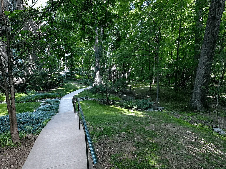 The Forest Apartments — Photo 38