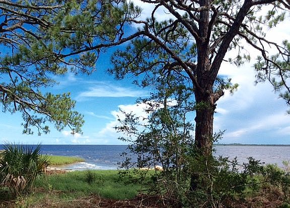Lot view of Gulf of Mexico