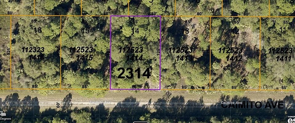 1st image of Caimito Avenue Lot #14