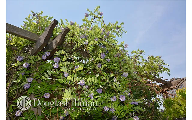 Sold by Douglas Elliman | media 12