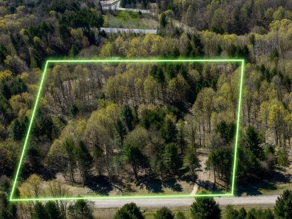 LOT 4 E Bellinger Rd, Cedar, MI 49621