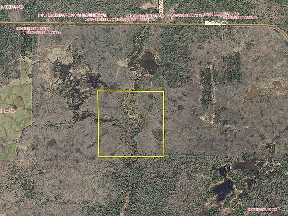 2nd image of Near Blueberry Rd