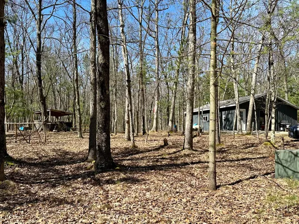 1049 W Homestead Ln, White Cloud, MI 49349
