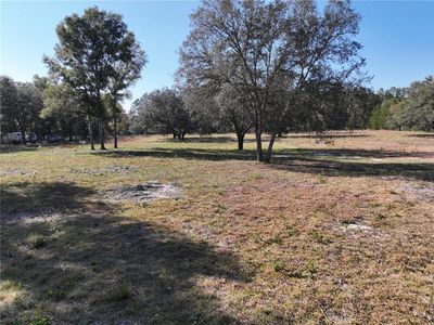 6671 NE 131ST AVENUE, Williston, FL, 32696