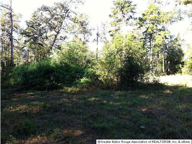 2nd image of Clinton Allen Rd