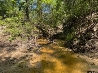 2954 County Road 2170, Grapeland, TX 75844