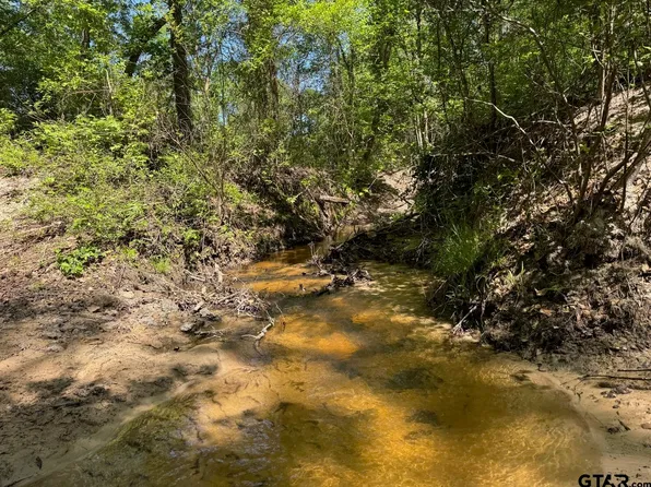 2954 County Road 2170, Grapeland, TX 75844