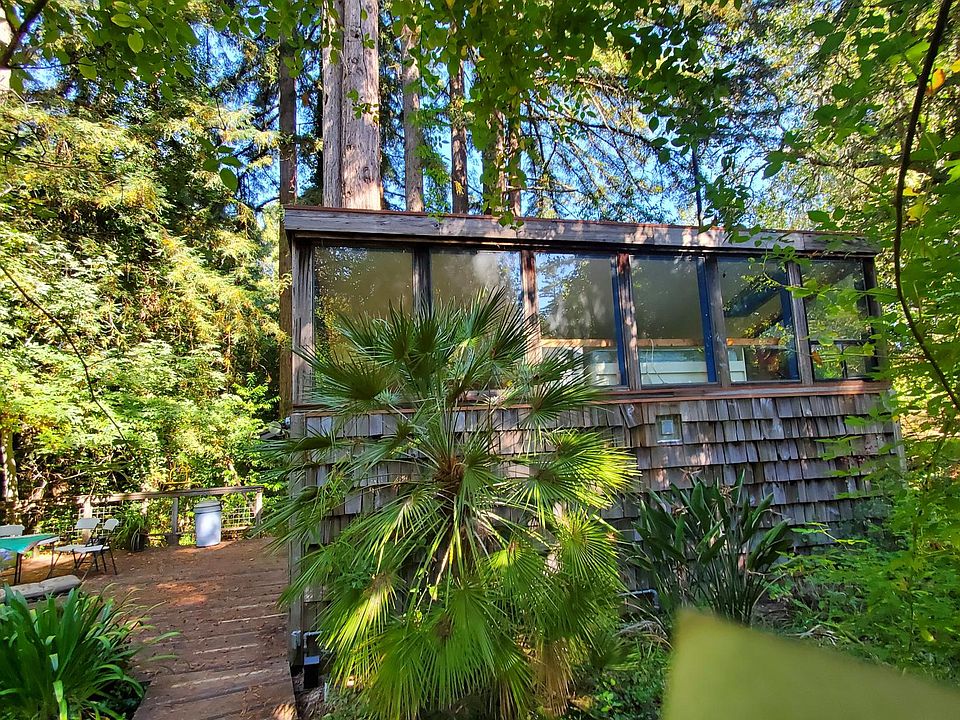 Walkway thru entrance gate to large deck and front door. Huge roof level windows, mature plants and redwoods