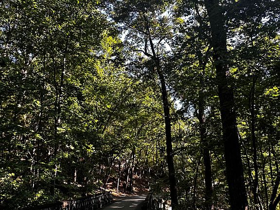 4th image of 0 Eagle Creek Trl Lot 13