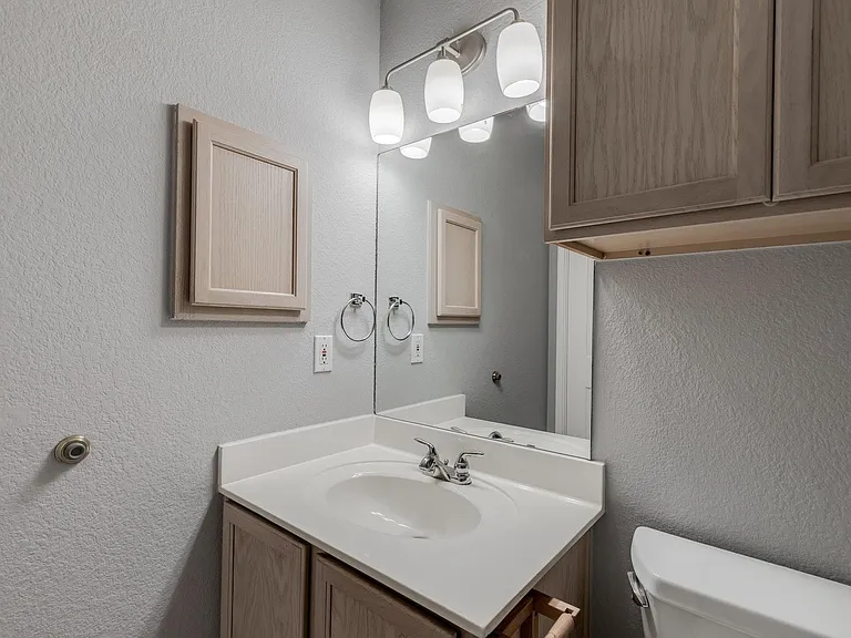 16809 Bailey Jean Dr — Photo 21