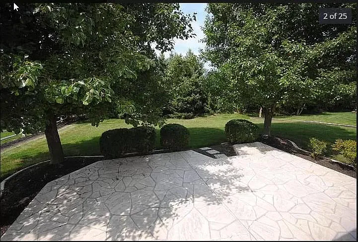 Backyard2