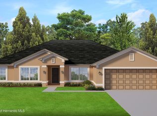 11193 Labrador Duck Rd, Weeki Wachee, FL 34614