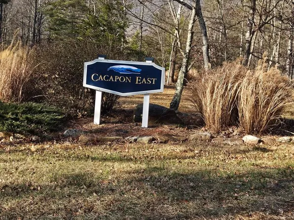 Parkside Ter, Berkeley Springs, WV 25411