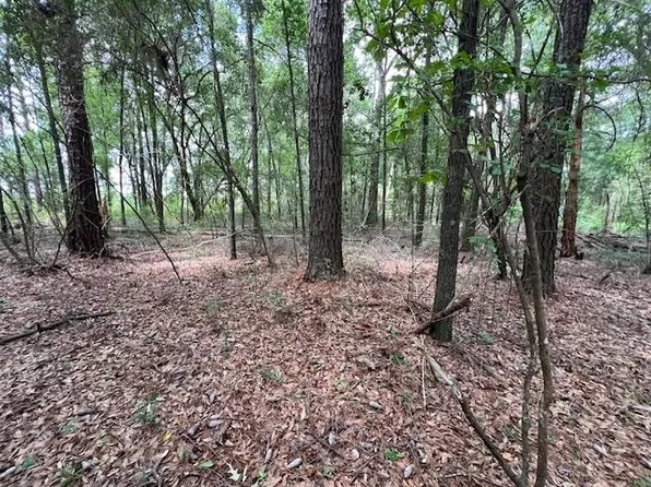 0 Highway 84, Opp, AL 36467