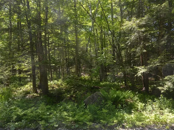 155 Chippewa Dr, Becket, MA 01223