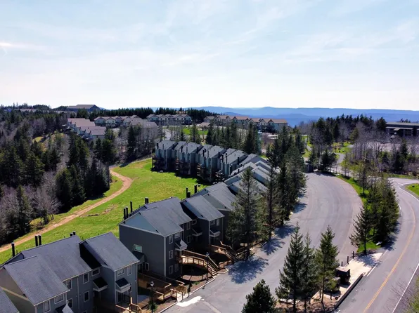 55 Powderidge, Snowshoe, WV 26209