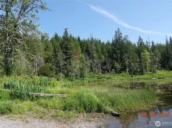 41102 Tanwax Road S, Roy, WA 98580