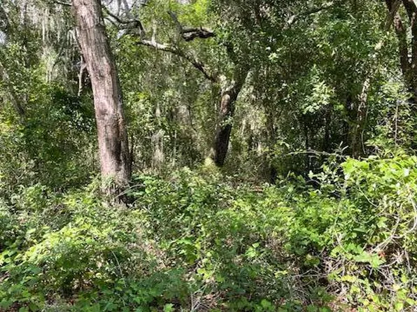 7043 GATORBONE Road, Keystone Heights, FL 32656