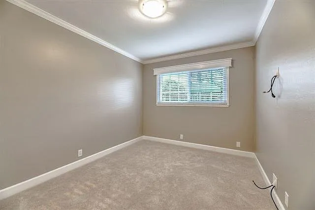 3491 Irlanda Way — Photo 10