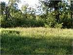 5th image of 481 County Road 4891